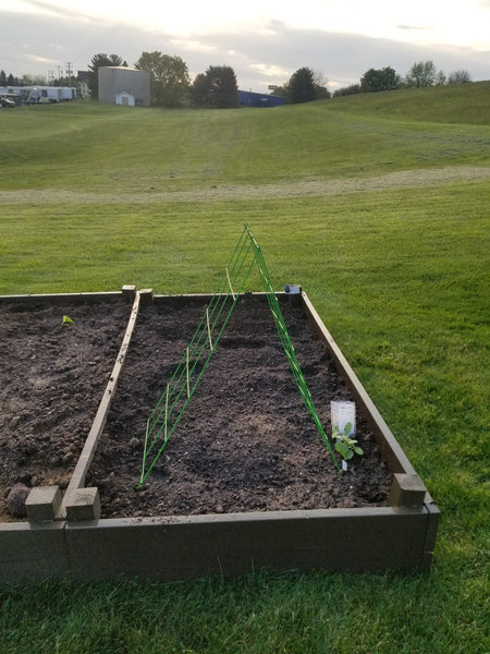 Two gardens at Rawr Outfitters!!!