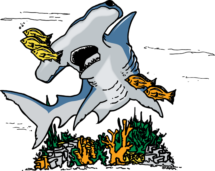 The Hammerhead and Fish