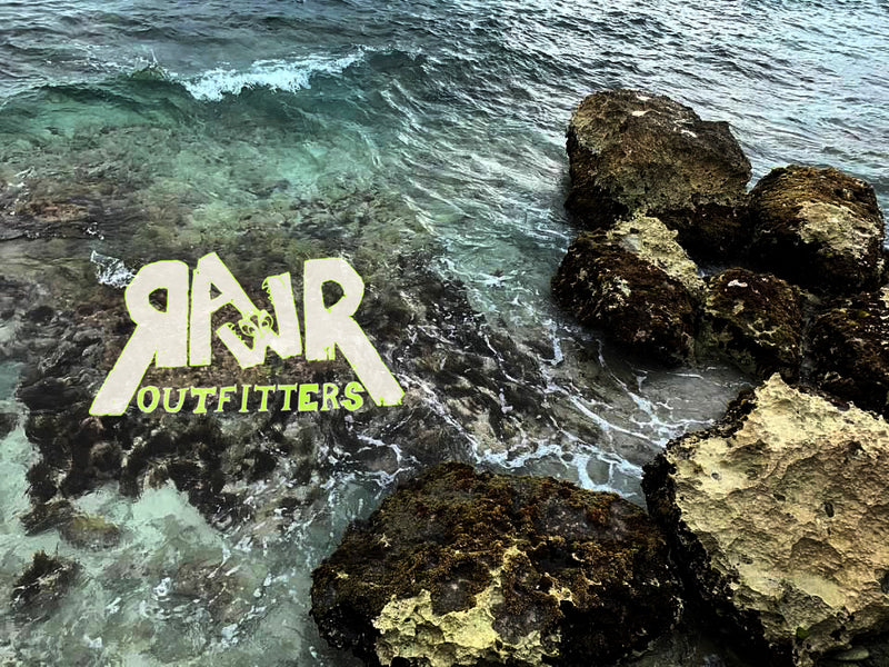 Rawr Newsletter!!!